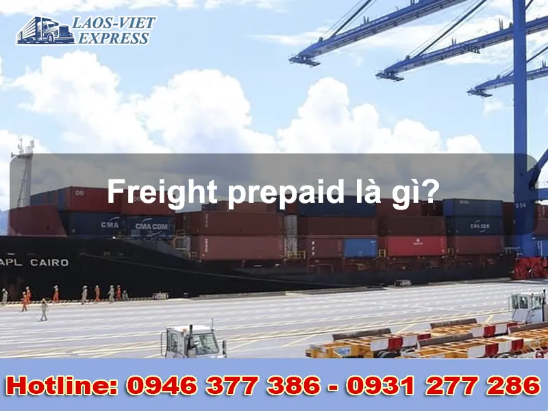 freight prepaid là gì