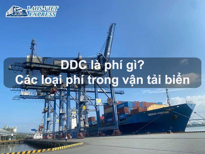 Phụ phí DDC là gì? Một số loại phụ phí vận tải đường biển